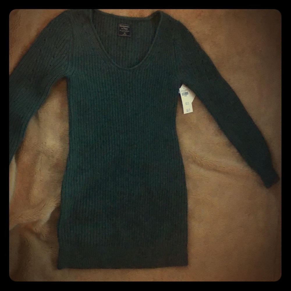NWT sweater dress